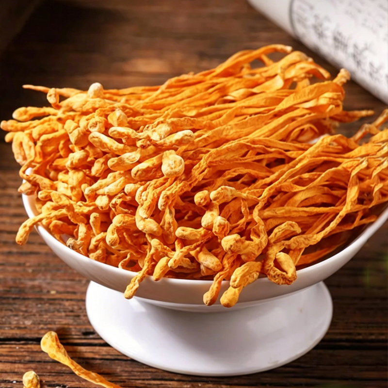Cordyceps flower