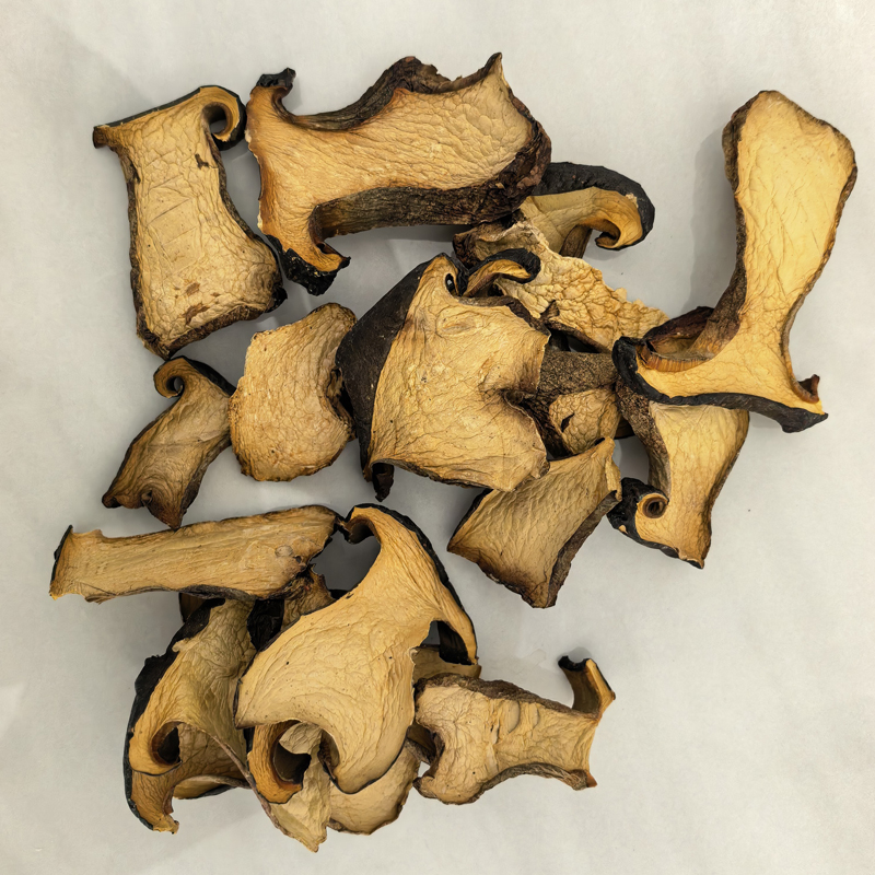 Black Porcini